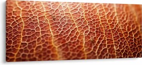 Kép - Textúra részlet (120x50 cm)