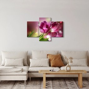 Rózsaszín tulipánok képe (90x60 cm)