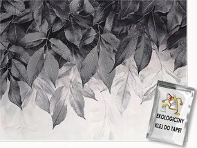 Fotótapéta Levelek Lógó Szürke Hálószoba Nappali Tapéta Flizelina 250x175