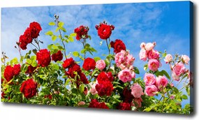 Canvas falikép Vad rózsák 120x60 cm