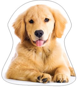 Kutyás Golden Retriver formapárna, díszpárna 35x35 cm