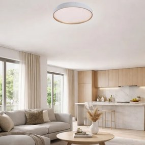 Rabalux 71454 - ZERAVA dimmelhető LED mennyezeti lámpa LED/80W/230V 3000-6500K, Ø 77 cm + távirányító