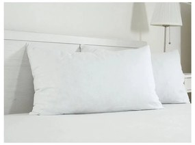 Pamut párnahuzat 45x75 cm Visco – B.E.S.