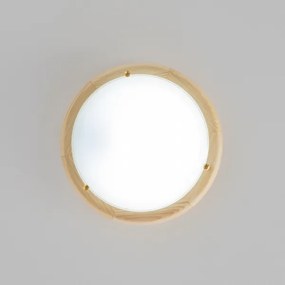 Rabalux 5411 - Mennyezeti lámpa UFO 1xE27/60W/230V