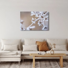 Kép - Fagy (90x60 cm)