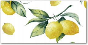 Fotótapéta falra edzett üveg Citrom 140x70