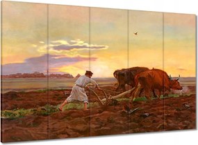 Vászonkép 100x70 Csongrád megyei szántóföld