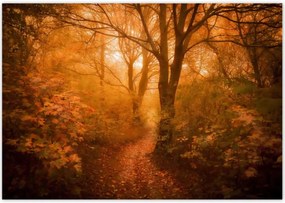 Poszterek 100x70 Tájkép Látvány