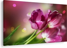 Rózsaszín tulipánok képe (90x60 cm)