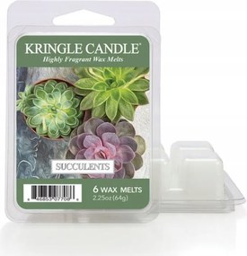 Succulents illatviasz Kringle Candle