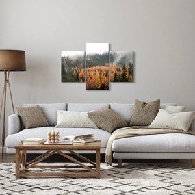 Kép - őszi erdő (90x60 cm)