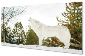 Akrilkép Wolf téli erdőben 125x50 cm