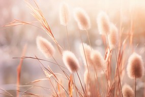 Poszter 45x30cm Napvirágok