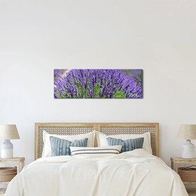 Kép - levandula (órával) (90x30 cm)
