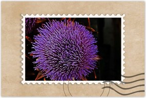 Poszter 60x40 Virág Lila Csipkebogyó