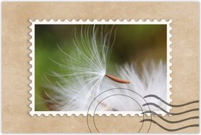 Poszterek 90x60 Pitypang Virág Virágok