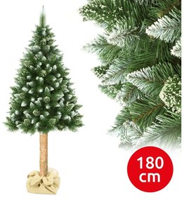 Elma Karácsonyfa tönkön 180 cm fenyőfa EA0009