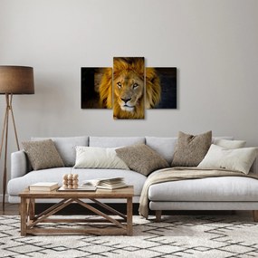 Kép - Egy oroszlán portréja (90x60 cm)