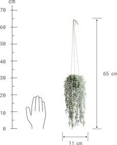 FLORISTA eukaliptusz felakasztható cserépben 65 cm
