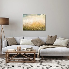 Kép - Mező ősszel (üvegen) (70x50 cm)
