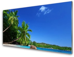 Akrilüveg fotó Palm Trees Beach Landscape 100x50 cm