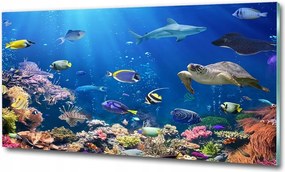 Fotó-kép edzett üveg Korallzátony 125x50