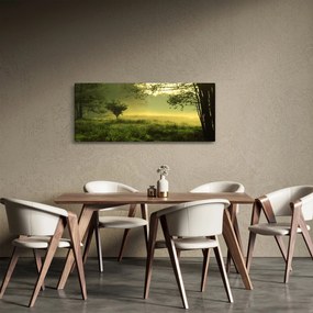 Kép - Ébredő erdő (120x50 cm)