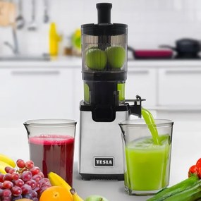 TESLA Electronics SlowJuicer Deluxe - Lassú facsaró 250W/230V rozsdamentes