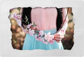 Poszterek 120x80 Virágzó cseresznye Japán