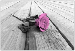 Poszterek 155x105 Régi rózsa Rózsa a deszkákon