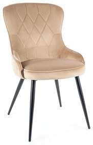 Lotus Velvet étkezőszék, bézs / fekete