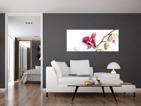 Orchidea virág képe (120x50 cm)