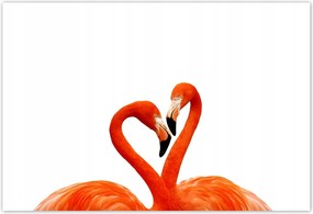 Fotótapéta flizelina 200x135 Egy pár flamingó