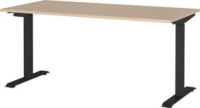Íróasztal elektromosan állítható magassággal, tölgyfa dekorral 80x160 cm – Germania