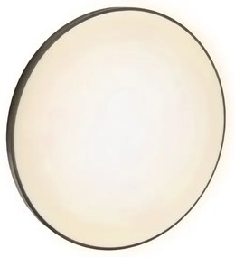 LED Kültéri mennyezeti lámpa NYMPHEA LED/32W/230V IP54 3000K