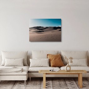 Kép - A sivatagból (üvegen) (70x50 cm)