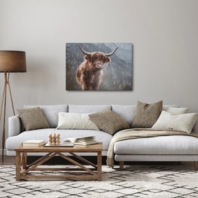 Kép - Highlander tehén (70x50 cm)