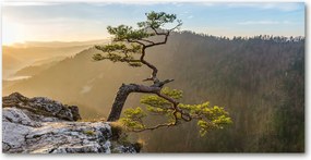 Fotó üvegkép Sólyomkő 140x70