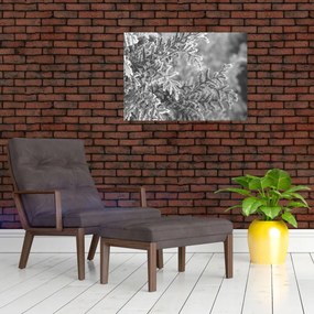 Kép - Lucfenyő erdő (70x50 cm)