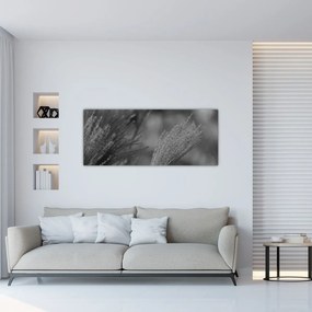 Kép - Szárított pampafű (120x50 cm)