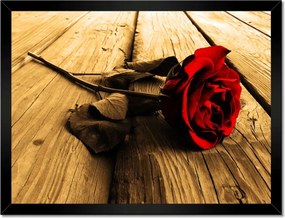 Poszterek keretben 40x30 Rózsa szépia deszkákon