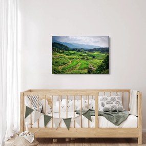 Rizsmező képe (90x60 cm)