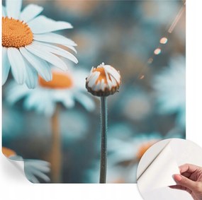 Öntapadós tapéta Falfestmény Prémium Kamilla finomság 250x250