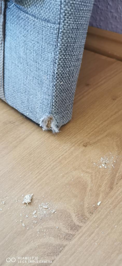 Üdvözlöm Önöket!
Sajnos csalódott vagyok és becsapottnak érzem magam. Nem olyan az ágy, mint amilyenre számítottam. A képen a fejrésznél is lábon áll, a valóságban csak két lába van. A fejrész sérülten érkezett, mellékeltem a fotót. Az ágyrács tartó, (középen) silány, vékony, egy éjszaka után szétesett, a lábaknak nem nevezhető három kis  fa  darab szétcsúszott. Összeszerelési útmutatót nem mellékeltek, csavarok nem voltak hozzá. Feltételezem, hogy kiállított darab volt, mert a középső lécben benne voltak a csavarok, ami rövid volt sőt, bele volt törve a fába.  Ezt nem közölték eladáskor.  A keret egyik oldalon rövidebb, mint az ágy hossza. Az összekapcsolható vas rész is sérült, ami egyébként szintén össze volt szerelve.  
Szeretném ha kárpótolnának, vagy visszaküldöm.
Köszönettel és tisztelettel;  
Rita
