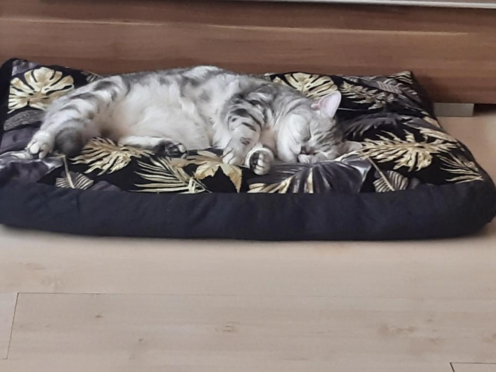 Szuper, gyönyörű, szereti a cicó :)