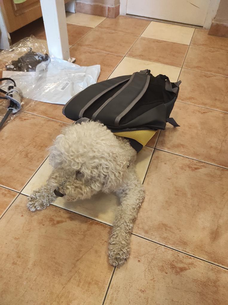 A termék leírása  szerint 10 kg-os kutyának javasolt. A 9,5 kg-os uszkárnak nagyjából a derekáig ér a táska. A termék visszaküldése macerás, ráadásul a visszaküldés költsége a vevőt terheli. 