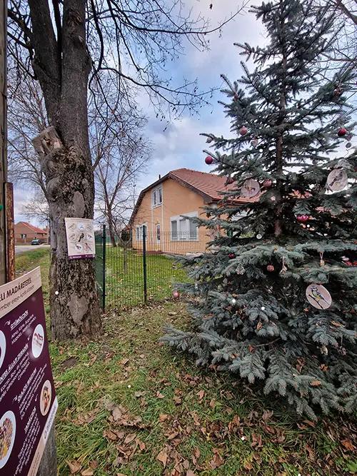 Karácsonyfadíszhez használtam, tökéletesen megfelelt a célra. 