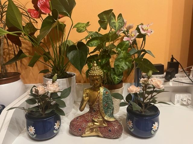 Nagyon szép a szobor, teljes mértékben megegyezik a képen láthatóval. 
Gyorsan és sérülésmentesen megkaptam, gondosan volt csomagolva, nagyon köszönöm. 
Ajánlom mindenkinek az eladót!