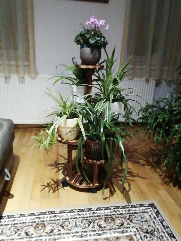 Gyönyörű, és masszív, imádom!